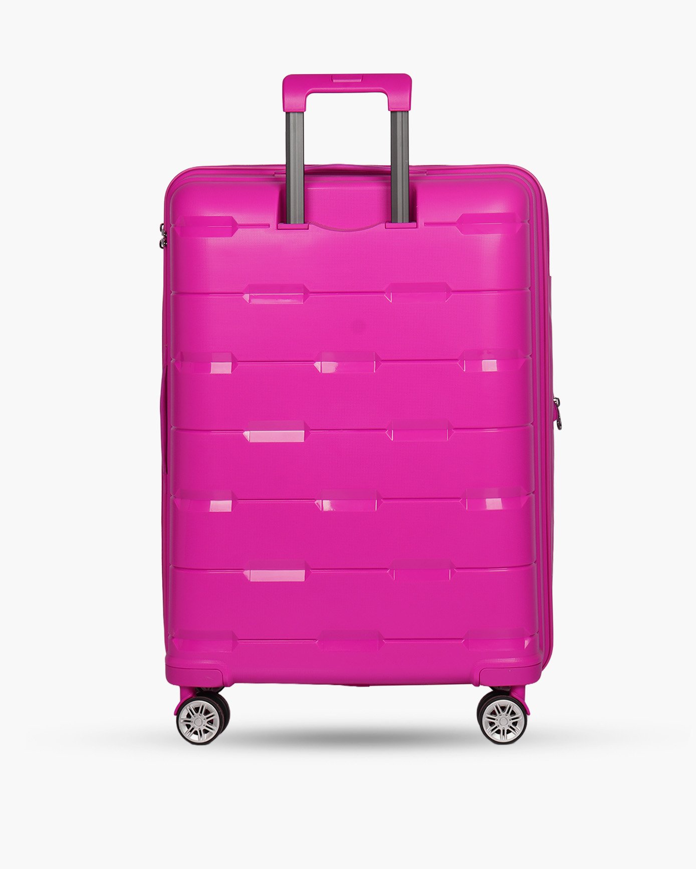 STRONG FUCSIA GRANDE 4