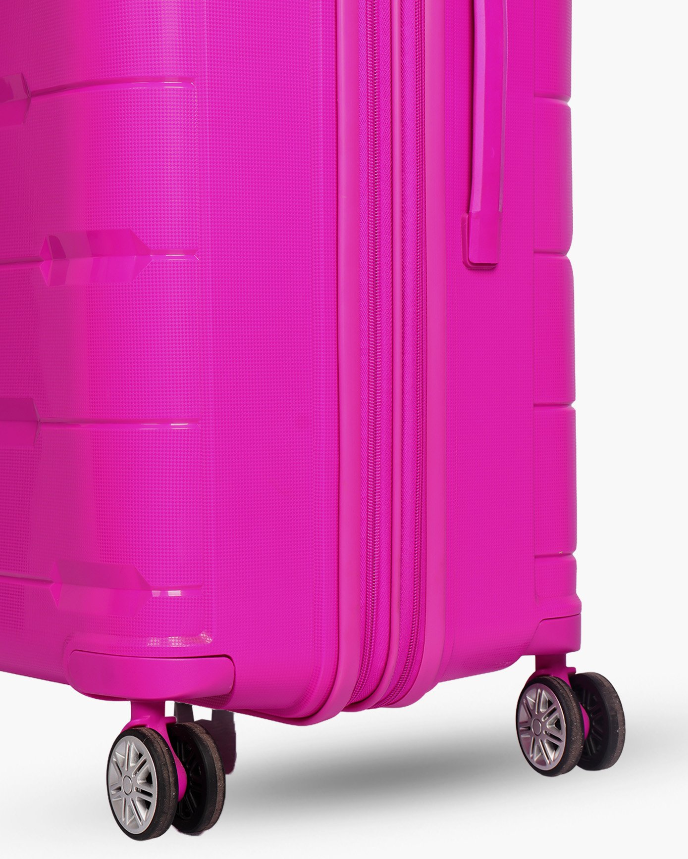 STRONG FUCSIA GRANDE 8