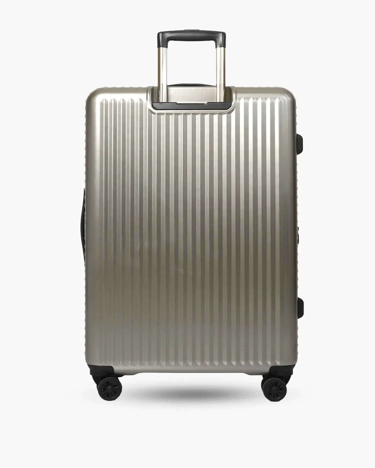 TENESSE GRANDE ORO VIEJO 4